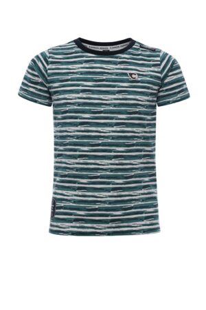 gestreepte blauw/groene t-shirt jongens common heroes