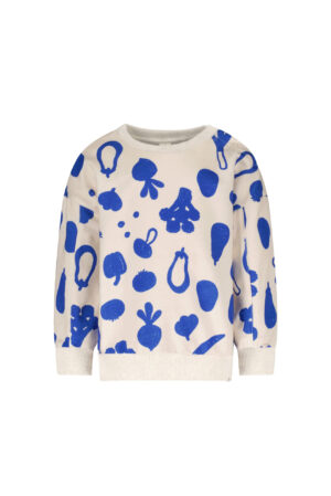oversized pull groenten the new chapter blauw unisex