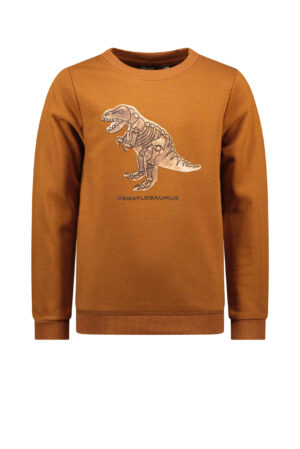 pull chestnut dino like flo bruin jongens