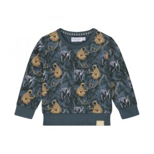 blauwe pull ringstaartaapjes dirkje jongens overall print beige