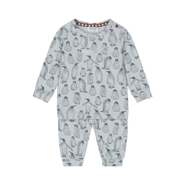 lichtblauwe pyjama pinguins 2delig dirkje jongens meisjes unisex overall print